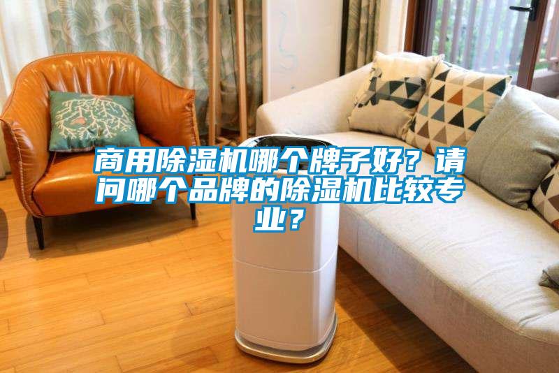 商用除濕機(jī)哪個(gè)牌子好？請(qǐng)問(wèn)哪個(gè)品牌的除濕機(jī)比較專業(yè)？
