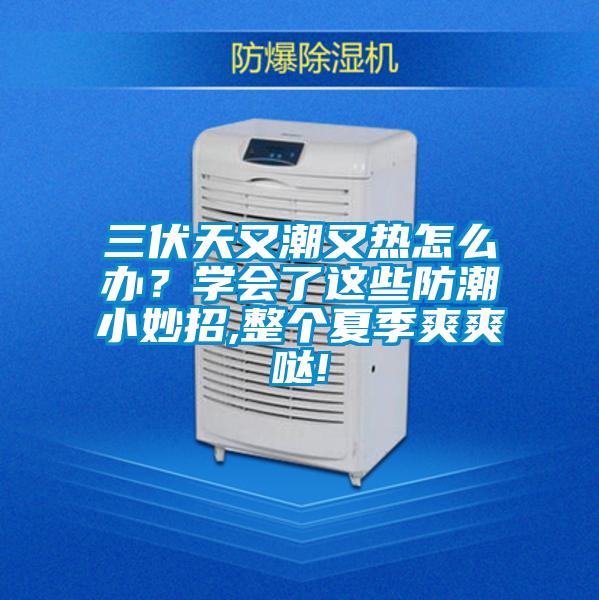 三伏天又潮又熱怎么辦？學(xué)會(huì)了這些防潮小妙招,整個(gè)夏季爽爽噠!