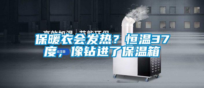 保暖衣會(huì)發(fā)熱？恒溫37度，像鉆進(jìn)了保溫箱