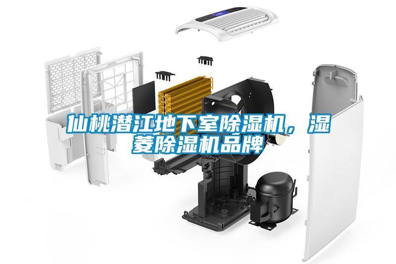仙桃潛江地下室除濕機，濕菱除濕機品牌