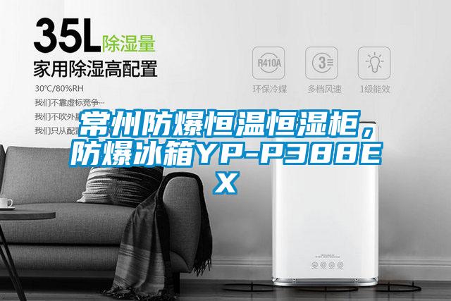 常州防爆恒溫恒濕柜，防爆冰箱YP-P388EX