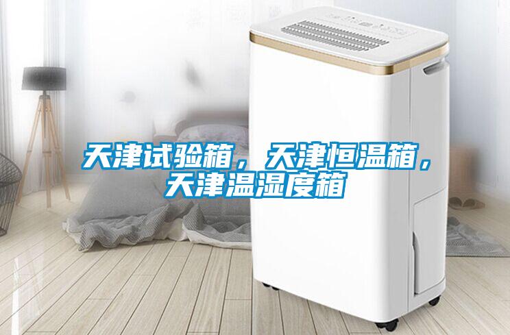 天津試驗箱，天津恒溫箱，天津溫濕度箱