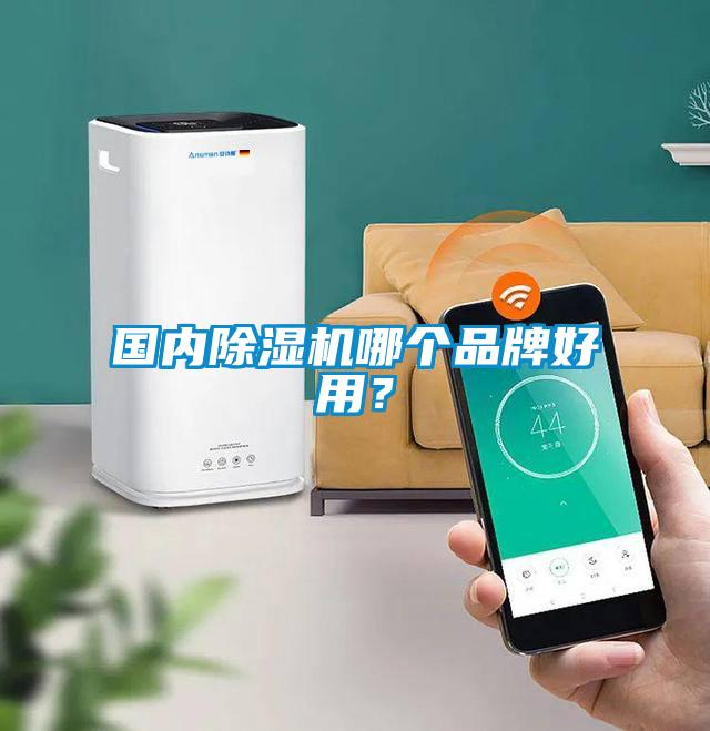 國內(nèi)除濕機(jī)哪個品牌好用？