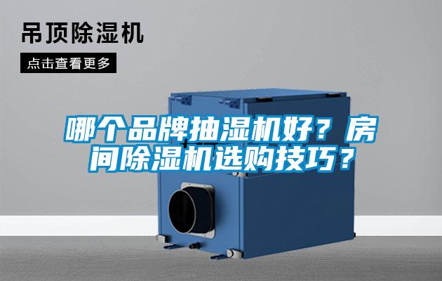 哪個品牌抽濕機好？房間除濕機選購技巧？