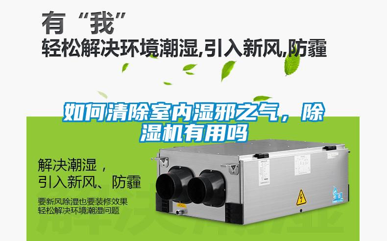 如何清除室內(nèi)濕邪之氣，除濕機有用嗎