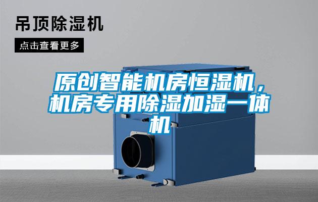 原創(chuàng)智能機房恒濕機，機房專用除濕加濕一體機
