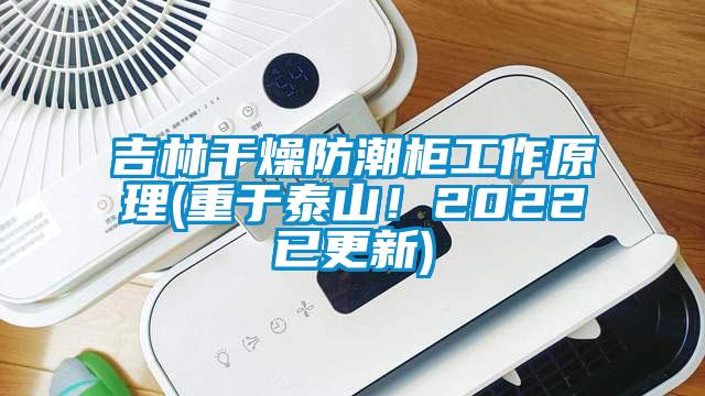 吉林干燥防潮柜工作原理(重于泰山！2022已更新)