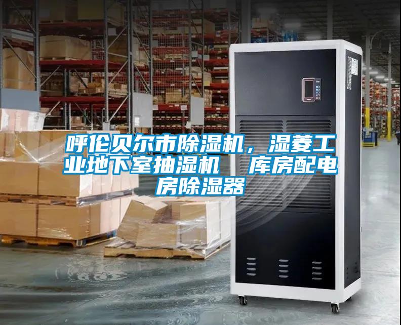 呼倫貝爾市除濕機(jī)，濕菱工業(yè)地下室抽濕機(jī)  庫房配電房除濕器