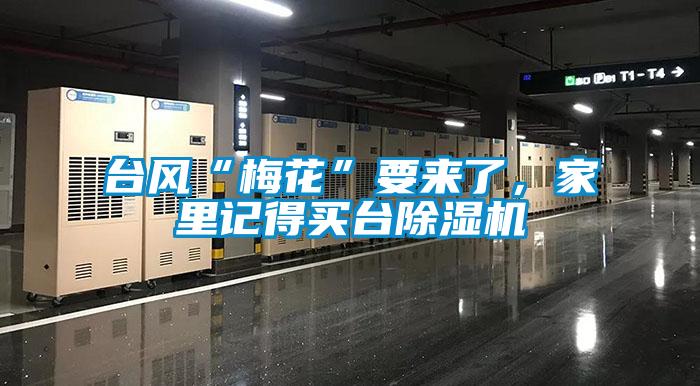 臺(tái)風(fēng)“梅花”要來了，家里記得買臺(tái)除濕機(jī)