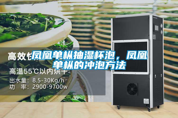 鳳凰單樅抽濕杯泡，鳳凰單樅的沖泡方法