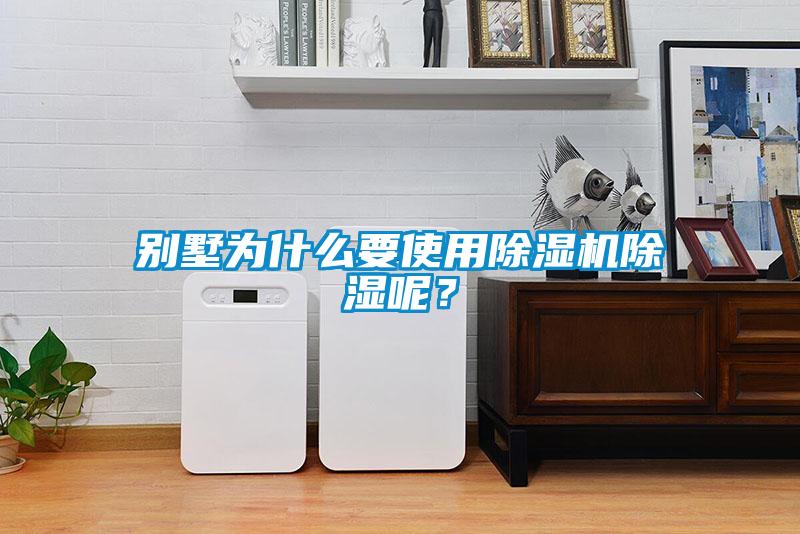 別墅為什么要使用除濕機(jī)除濕呢？