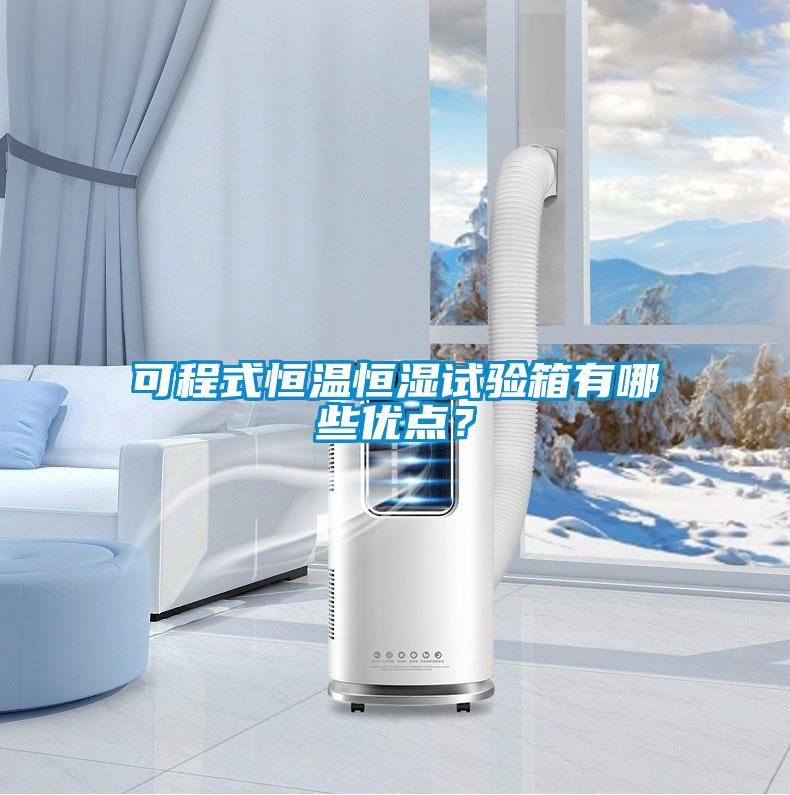可程式恒溫恒濕試驗(yàn)箱有哪些優(yōu)點(diǎn)？