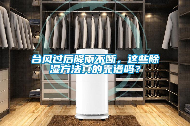 臺(tái)風(fēng)過后降雨不斷，這些除濕方法真的靠譜嗎？