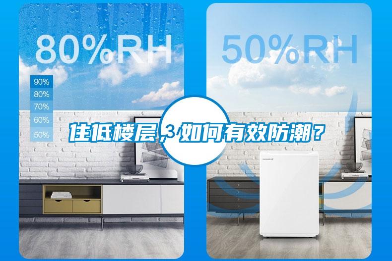 住低樓層，如何有效防潮？