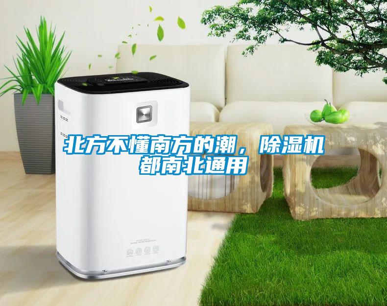 北方不懂南方的潮，除濕機都南北通用
