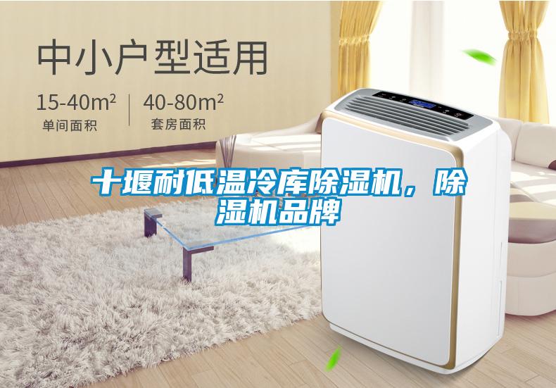 十堰耐低溫冷庫除濕機(jī)，除濕機(jī)品牌