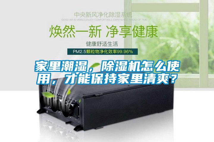 家里潮濕，除濕機怎么使用，才能保持家里清爽？