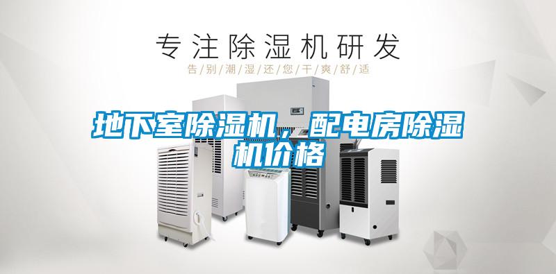 地下室除濕機(jī)，配電房除濕機(jī)價格