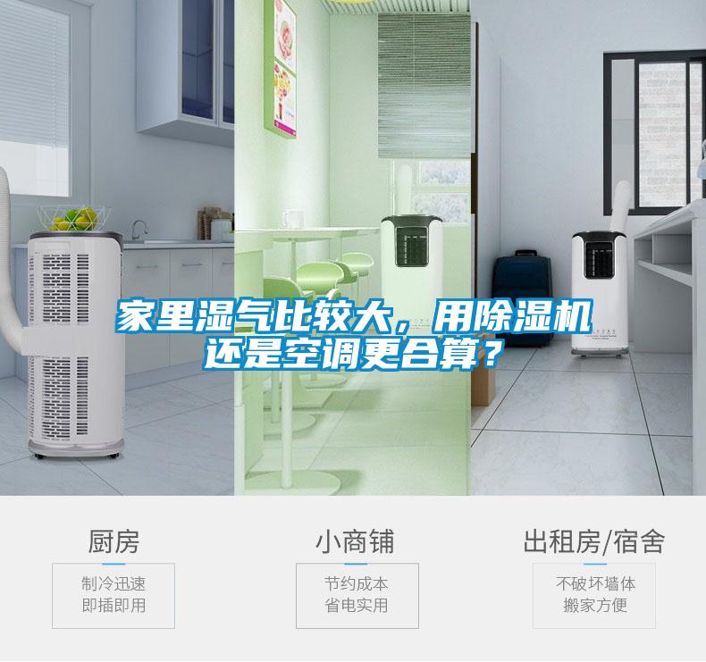 家里濕氣比較大，用除濕機還是空調(diào)更合算？
