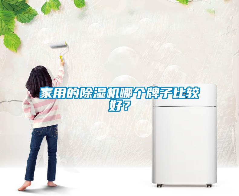 家用的除濕機(jī)哪個(gè)牌子比較好？