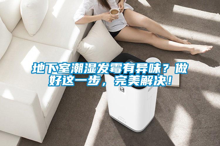 地下室潮濕發(fā)霉有異味？做好這一步，完美解決！