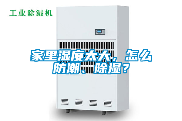 家里濕度太大，怎么防潮、除濕？