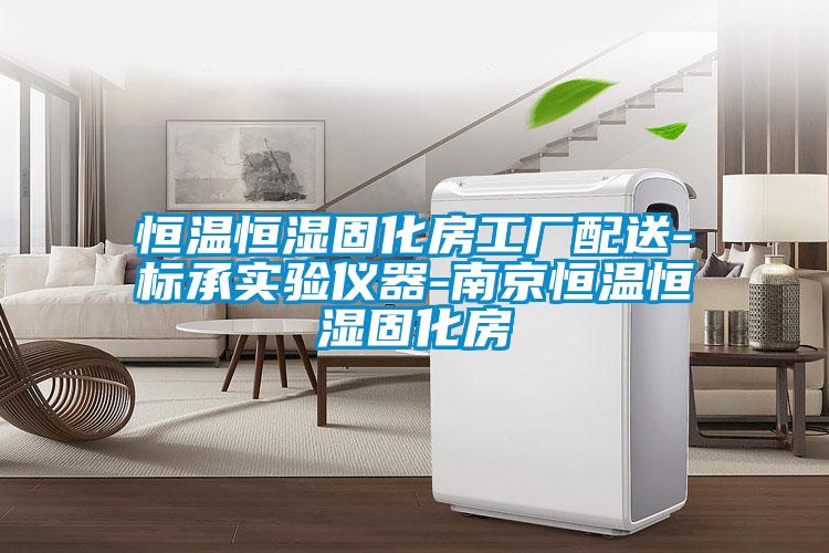 恒溫恒濕固化房工廠配送-標(biāo)承實(shí)驗(yàn)儀器-南京恒溫恒濕固化房