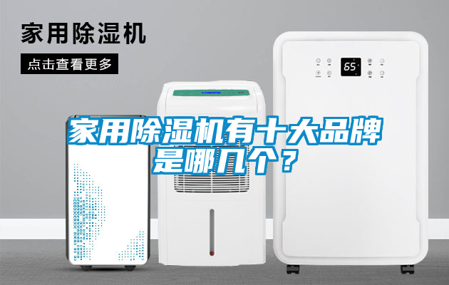 家用除濕機(jī)有十大品牌是哪幾個(gè)？