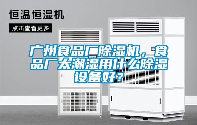 廣州食品廠除濕機(jī)，食品廠太潮濕用什么除濕設(shè)備好？