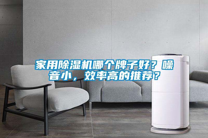 家用除濕機哪個牌子好？噪音小，效率高的推薦？