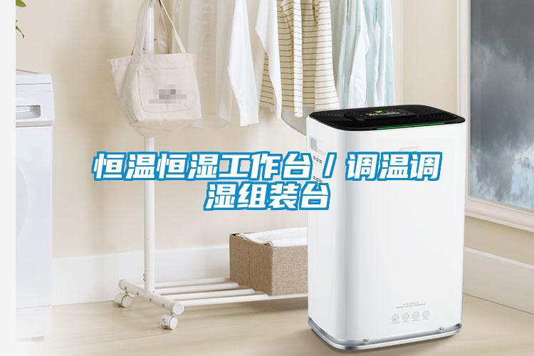 恒溫恒濕工作臺/調(diào)溫調(diào)濕組裝臺