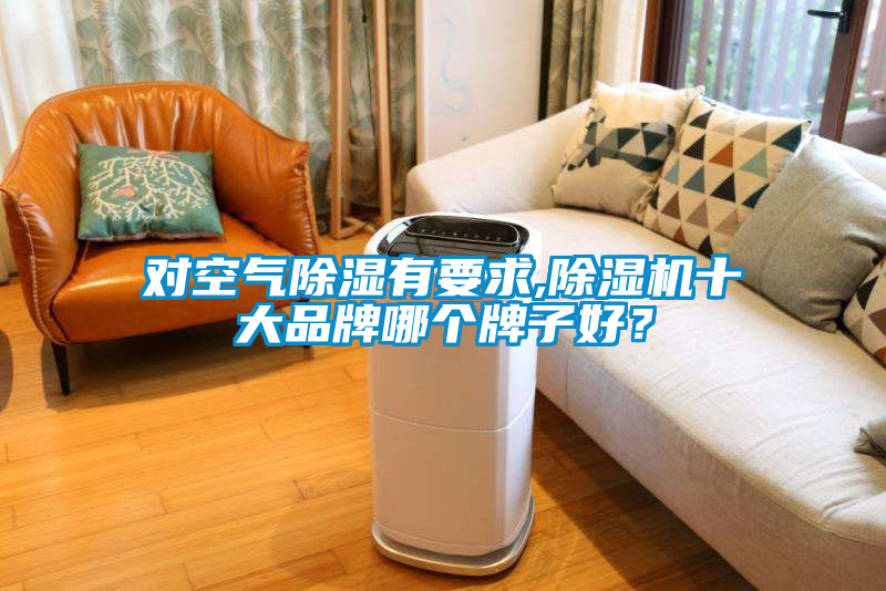 對空氣除濕有要求,除濕機十大品牌哪個牌子好？