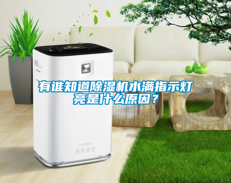 有誰(shuí)知道除濕機(jī)水滿指示燈亮是什么原因？