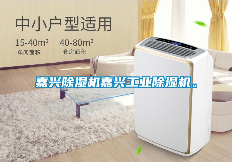 嘉興除濕機(jī)嘉興工業(yè)除濕機(jī)。