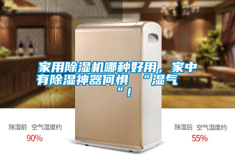 家用除濕機哪種好用，家中有除濕神器何懼 “濕氣 “！