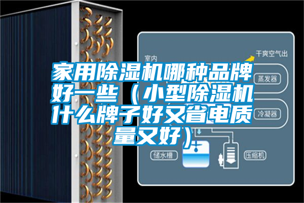 家用除濕機哪種品牌好一些(小型除濕機什么牌子好又省電質量又好)