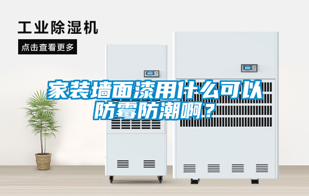 家裝墻面漆用什么可以防霉防潮啊？