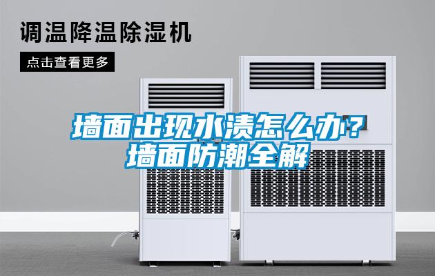 墻面出現(xiàn)水漬怎么辦?墻面防潮全解