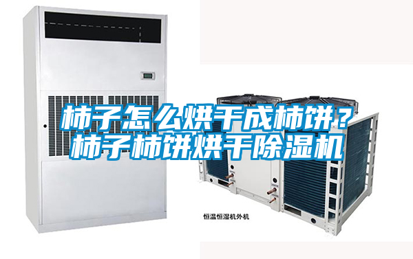 柿子怎么烘干成柿餅？柿子柿餅烘干除濕機(jī)