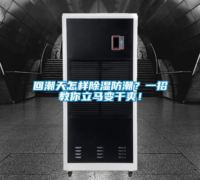 回潮天怎樣除濕防潮？一招教你立馬變干爽！