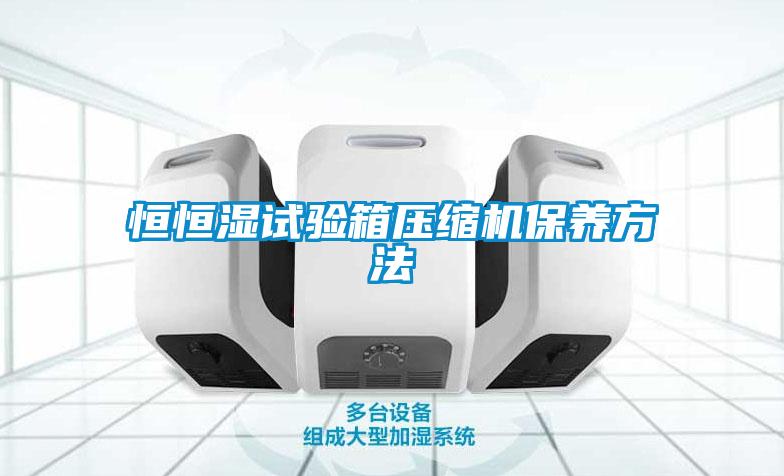 恒恒濕試驗(yàn)箱壓縮機(jī)保養(yǎng)方法