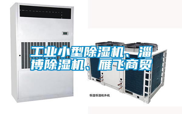 工業(yè)小型除濕機(jī)、淄博除濕機(jī)、雁飛商貿(mào)