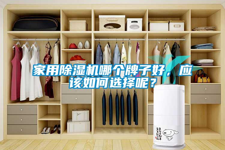家用除濕機(jī)哪個(gè)牌子好，應(yīng)該如何選擇呢？