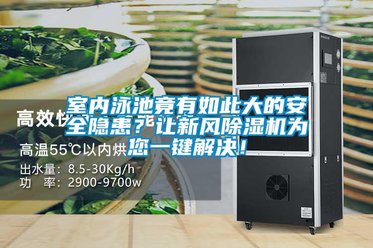 室內(nèi)泳池竟有如此大的安全隱患？讓新風(fēng)除濕機(jī)為您一鍵解決！