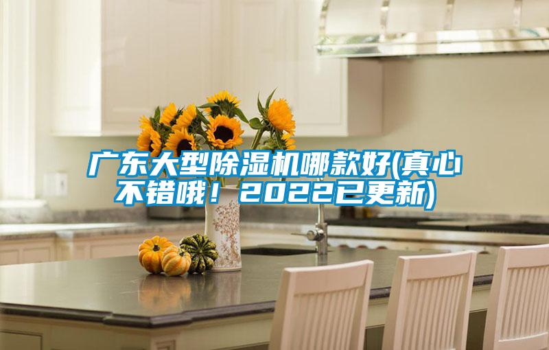 廣東大型除濕機(jī)哪款好(真心不錯哦！2022已更新)
