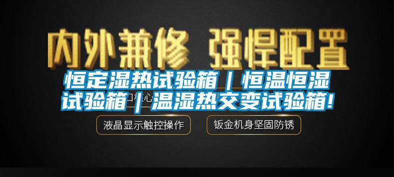 恒定濕熱試驗箱|恒溫恒濕試驗箱|溫濕熱交變試驗箱!