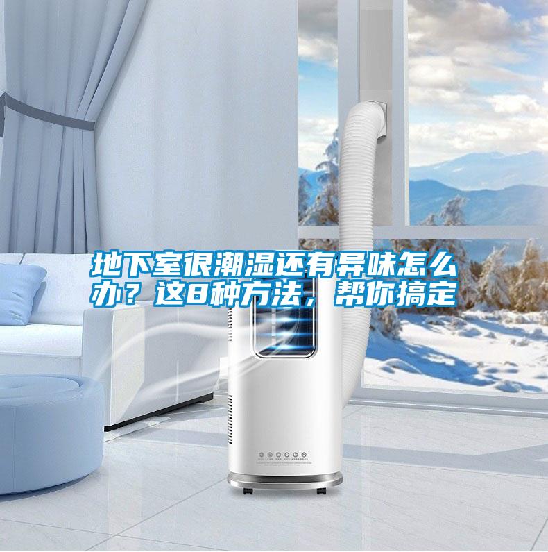 地下室很潮濕還有異味怎么辦？這8種方法，幫你搞定