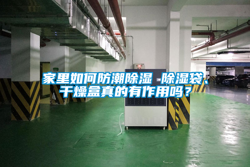 家里如何防潮除濕 除濕袋、干燥盒真的有作用嗎？