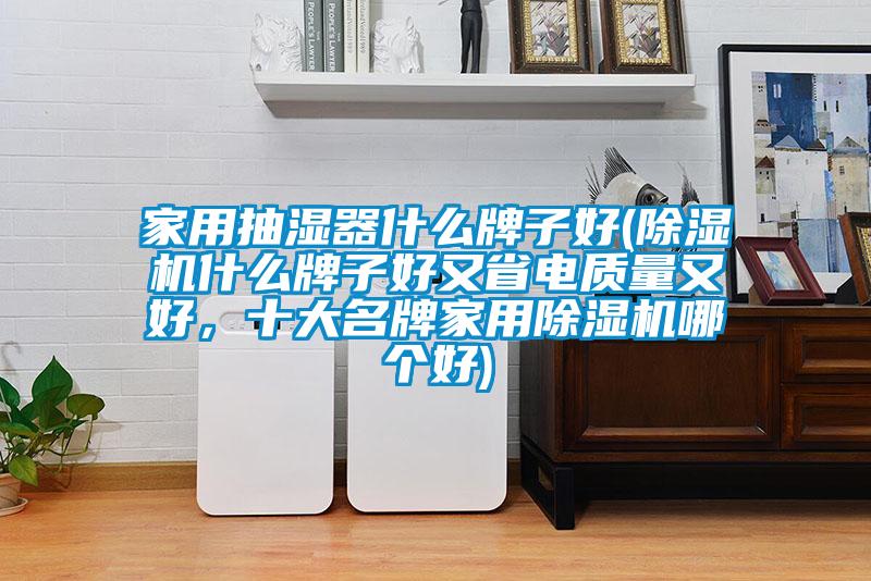 家用抽濕器什么牌子好(除濕機什么牌子好又省電質(zhì)量又好，十大名牌家用除濕機哪個好)
