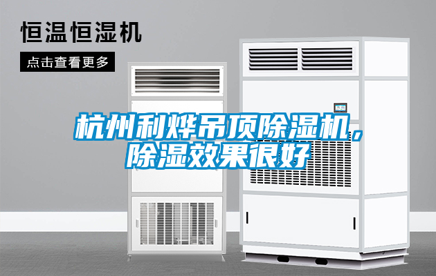 杭州利燁吊頂除濕機(jī)，除濕效果很好